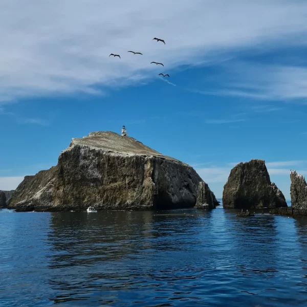 Road trip california light house Channel islands