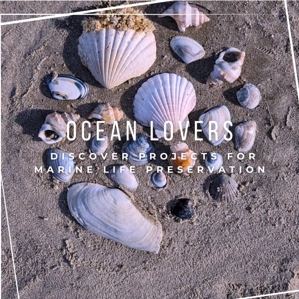 Ocean lovers : discover projects for marine life preservation