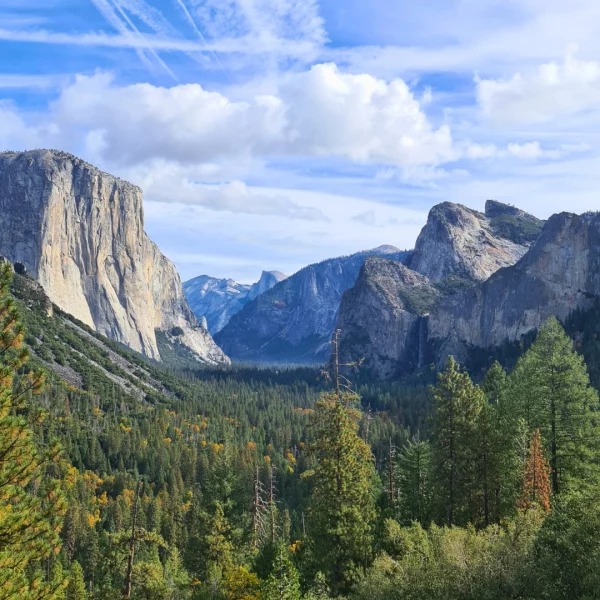tunnel view