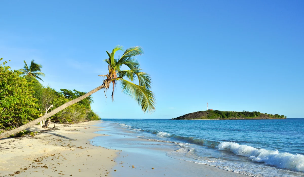 Partir Martinique home